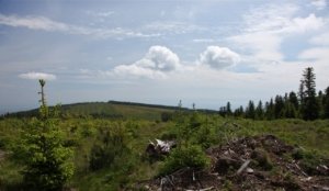 L’emplacement validé par la ZDE en 2011