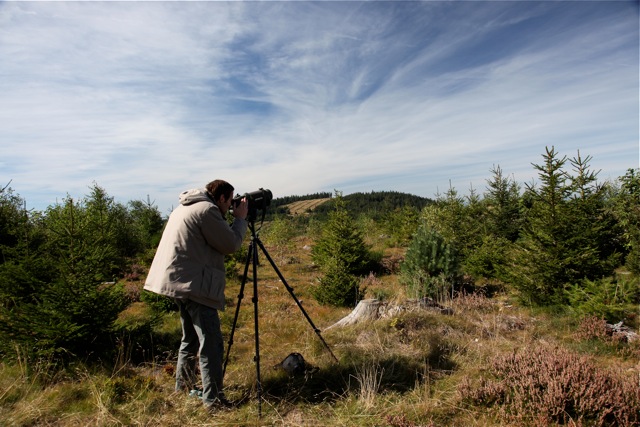 Etude ornithologique