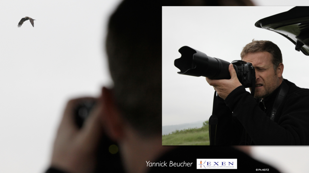 Etudes de conception éoliennes Ailes de Taillard Loire